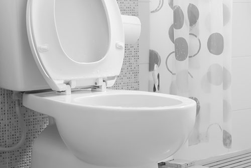 Bathroom Sewer Backup