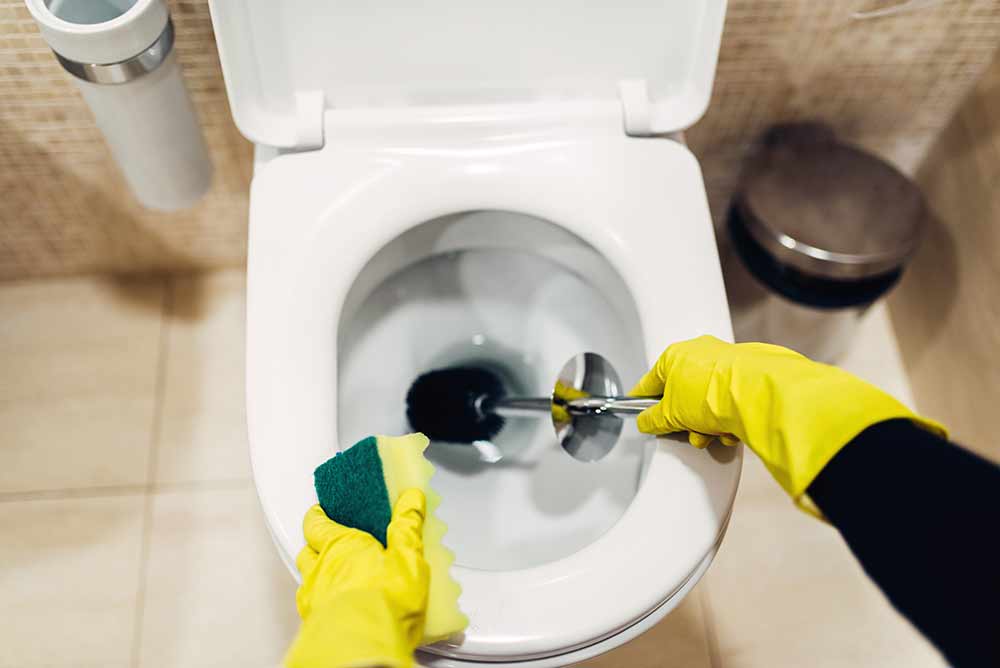 Toilet Bowl Cleaning Hacks - Plumbers Near Me | Plumbers in Frisco ...